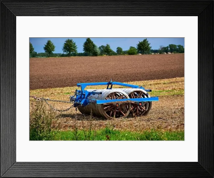 Framed Print : harvest of wheat almost finished Framed Print : harvest of wheat almost finished