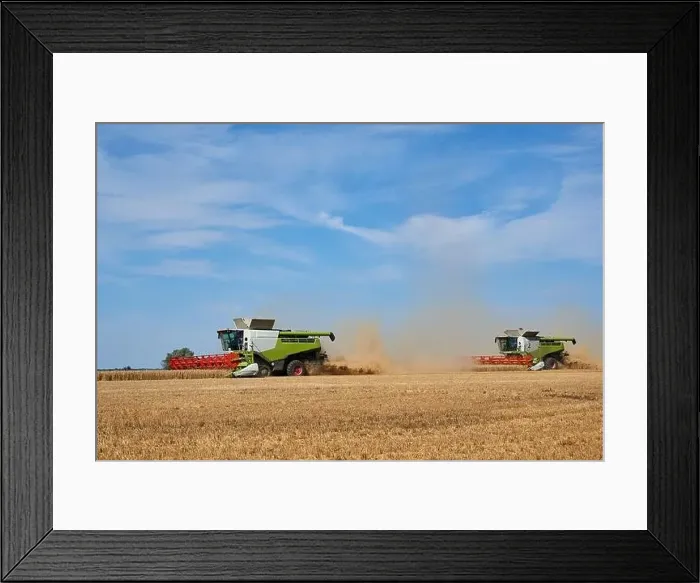Framed Print : harvest of wheat almost finished Framed Print : harvest of wheat almost finished