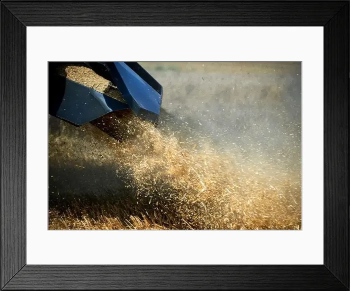 Framed Print : harvest of wheat almost finished Framed Print : harvest of wheat almost finished