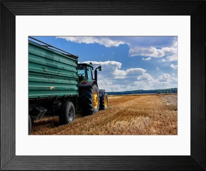 Framed Print : harvest of wheat almost finished Framed Print : harvest of wheat almost finished