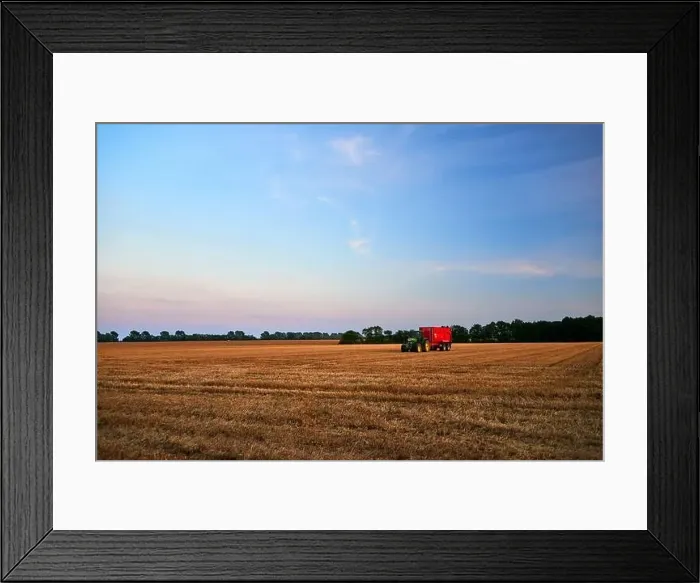 Framed Print : harvest of wheat almost finished Framed Print : harvest of wheat almost finished