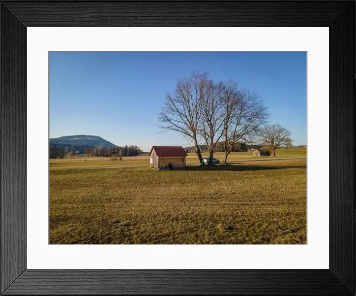 Framed Print : Tree and house at the Irrsee in Austria Framed Print : Tree and house at the Irrsee in Austria