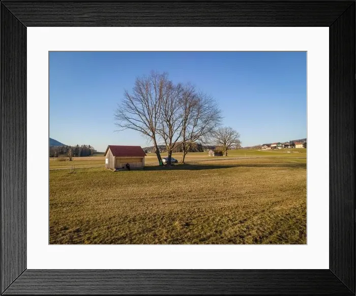 Framed Print : Tree and house at the Irrsee in Austria Framed Print : Tree and house at the Irrsee in Austria