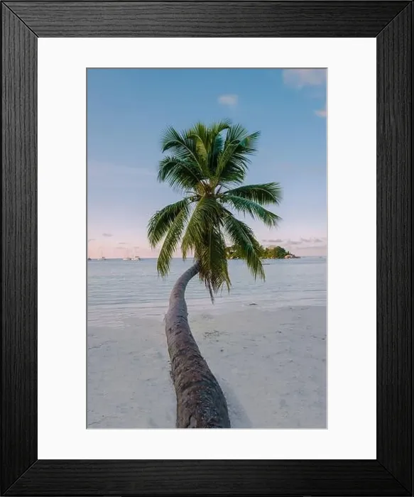Framed Print : Praslin Seychelles tropical island with withe beaches and palm trees, the beach of Anse Volbert Seychelles Framed Print : Praslin Seychelles tropical island with withe beaches and palm trees, the beach of Anse Volbert Seychelles