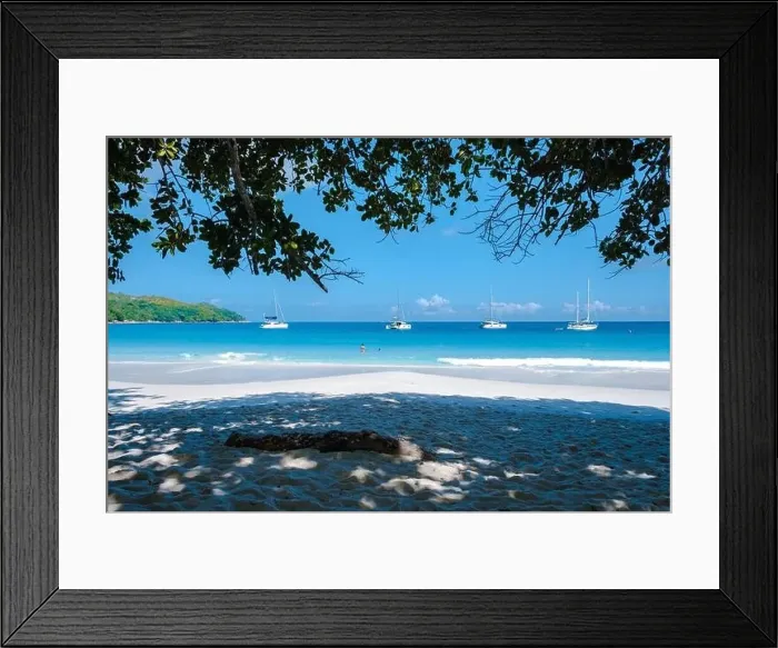 Framed Print : Praslin Seychelles tropical island with withe beaches and palm trees Framed Print : Praslin Seychelles tropical island with withe beaches and palm trees