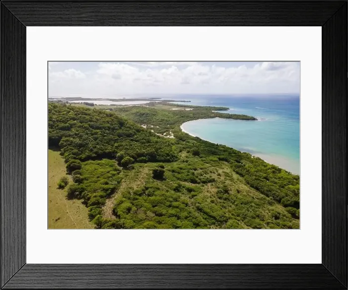 Framed Print : Anse meunier and the Salines area, Sainte-Anne, Martinique, French Antilles Framed Print : Anse meunier and the Salines area, Sainte-Anne, Martinique, French Antilles