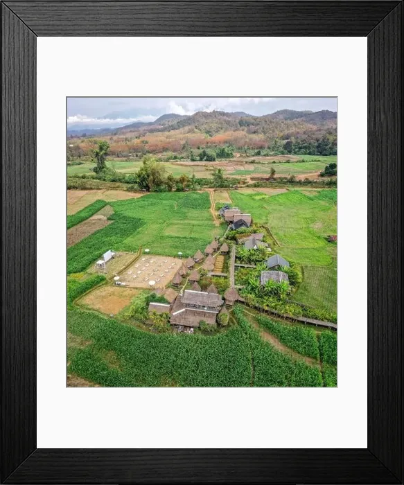 Framed Print : Aerial view of Houses in the middle of rice fields in Nan province, Thailand Framed Print : Aerial view of Houses in the middle of rice fields in Nan province, Thailand