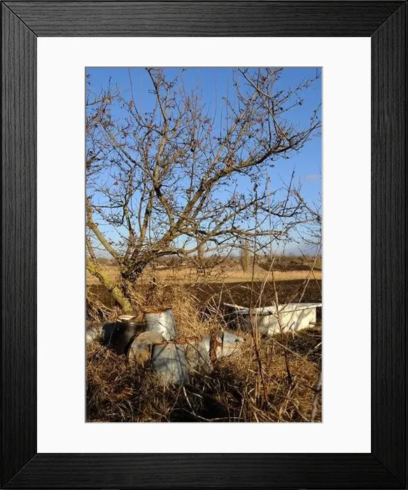 Framed Print : Old rusted buckets in the village. Natural background of field with dry grass and fooliage Framed Print : Old rusted buckets in the village. Natural background of field with dry grass and fooliage