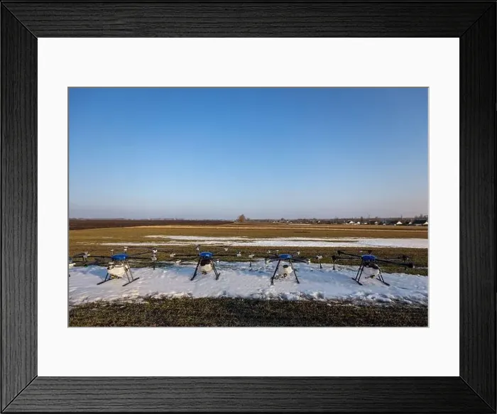Framed Print : Many agrodrones are on the green field. The snow has not melted yet. Agrodrons are ready to spray fertilizer Framed Print : Many agrodrones are on the green field. The snow has not melted yet. Agrodrons are ready to spray fertilizer