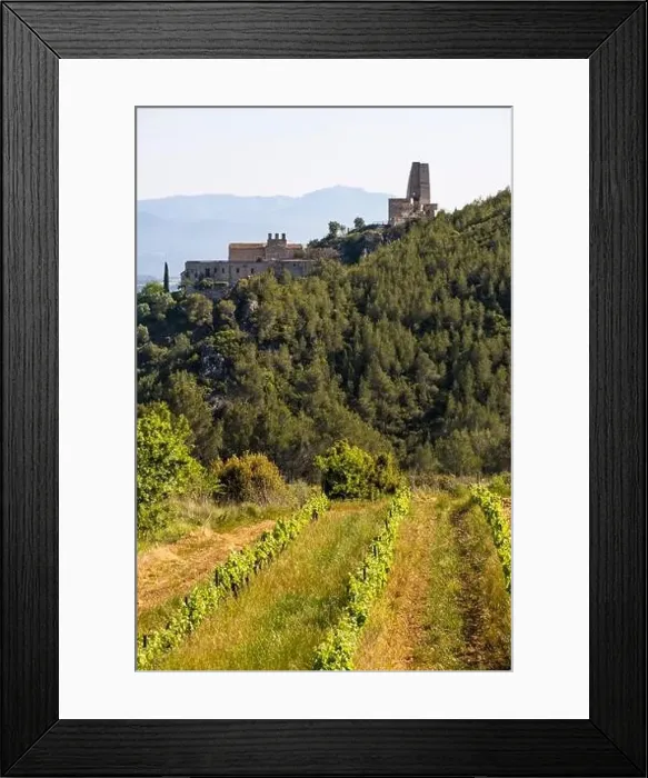 Framed Print : Vineyards in the spring in the Subirats wine region in the province of Barcelona Framed Print : Vineyards in the spring in the Subirats wine region in the province of Barcelona