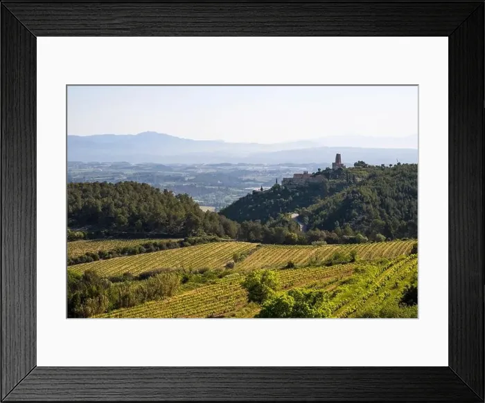 Framed Print : Vineyards in the spring in the Subirats wine region in the province of Barcelona Framed Print : Vineyards in the spring in the Subirats wine region in the province of Barcelona