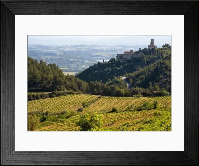 Framed Print : Vineyards in the spring in the Subirats wine region in the province of Barcelona Framed Print : Vineyards in the spring in the Subirats wine region in the province of Barcelona