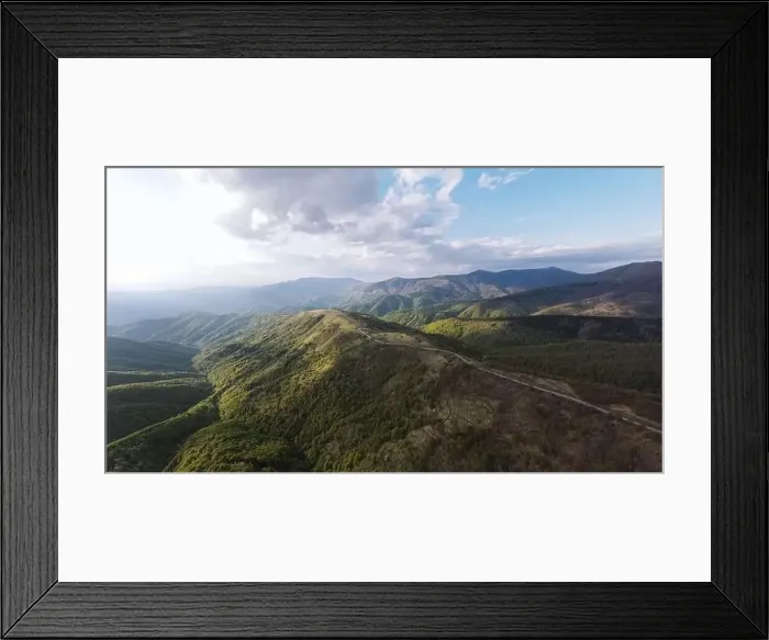 Framed Print : High angle aerial view drone image of sunset sun rays trough the trees Framed Print : High angle aerial view drone image of sunset sun rays trough the trees