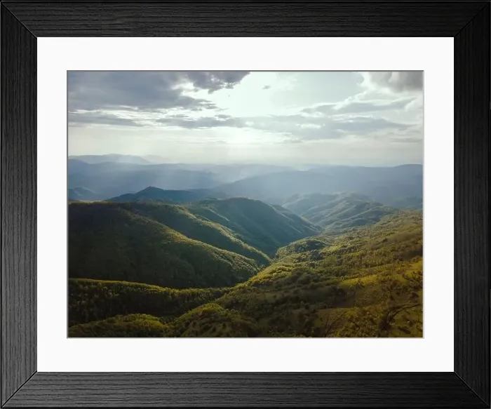 Framed Print : High angle aerial view drone image of sunset sun rays trough the trees Framed Print : High angle aerial view drone image of sunset sun rays trough the trees