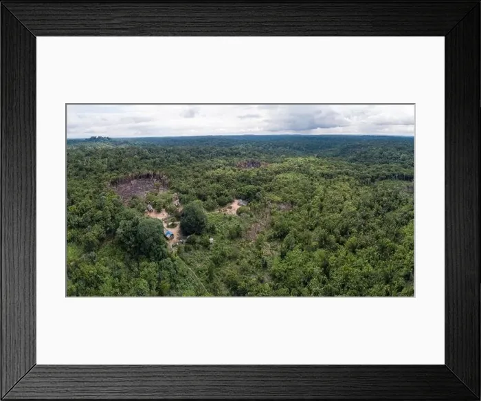 Framed Print : Beautiful drone aerial view of Amazon rainforest trees Framed Print : Beautiful drone aerial view of Amazon rainforest trees