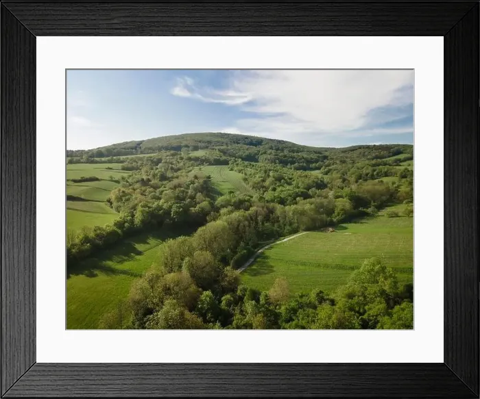 Framed Print : aerial drone flight over green meadows and forest in lower austria
