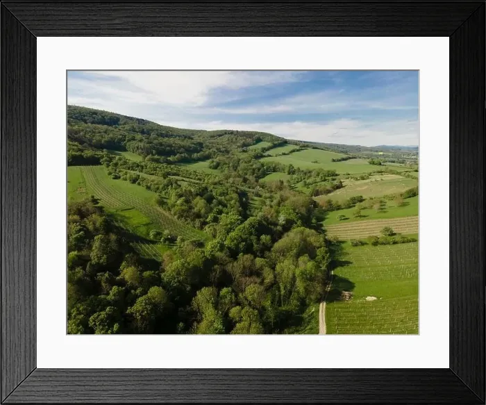 Framed Print : aerial drone flight over green meadows and forest in lower austria Framed Print : aerial drone flight over green meadows and forest in lower austria