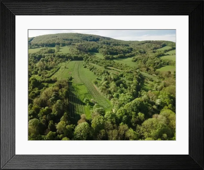 Framed Print : aerial drone flight over green meadows and forest in lower austria