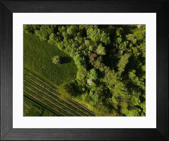 Framed Print : aerial drone flight over green meadows and forest in lower austria Framed Print : aerial drone flight over green meadows and forest in lower austria