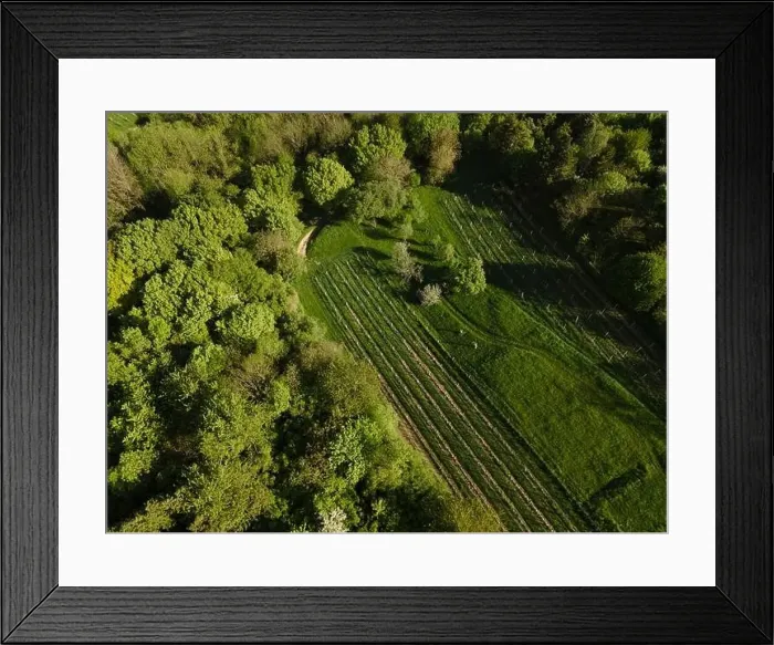 Framed Print : aerial drone flight over green meadows and forest in lower austria