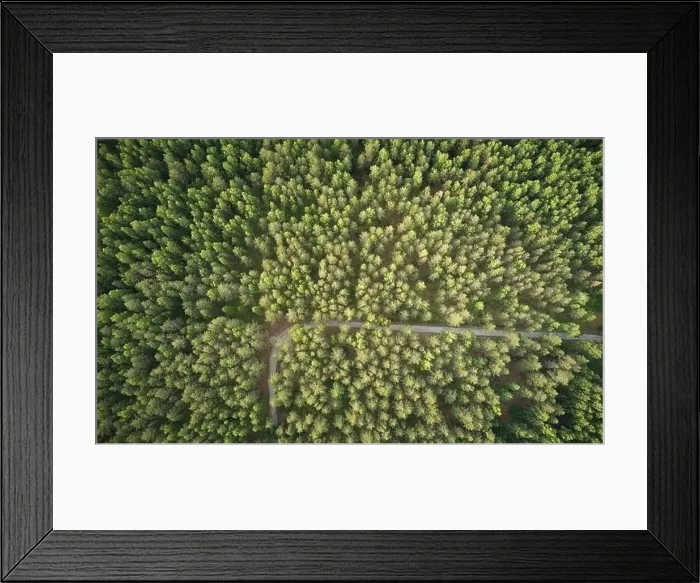 Framed Print : Rural road in forest background aerial above drone view Framed Print : Rural road in forest background aerial above drone view