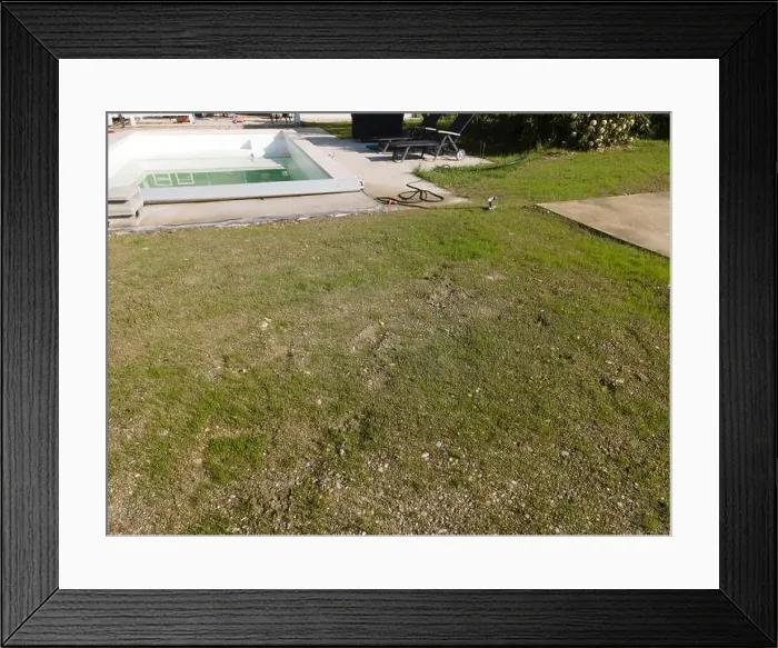 Framed Print : Drone flight over pool in the middle of greenery, fresh grass grown and the pool is not yet cleaned Framed Print : Drone flight over pool in the middle of greenery, fresh grass grown and the pool is not yet cleaned