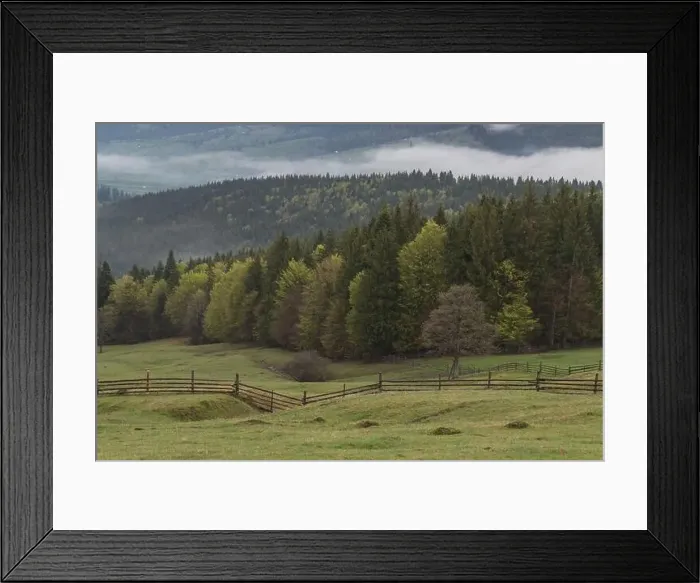 Framed Print : Spring mountain view of the foggy forest, in Bucovina Framed Print : Spring mountain view of the foggy forest, in Bucovina