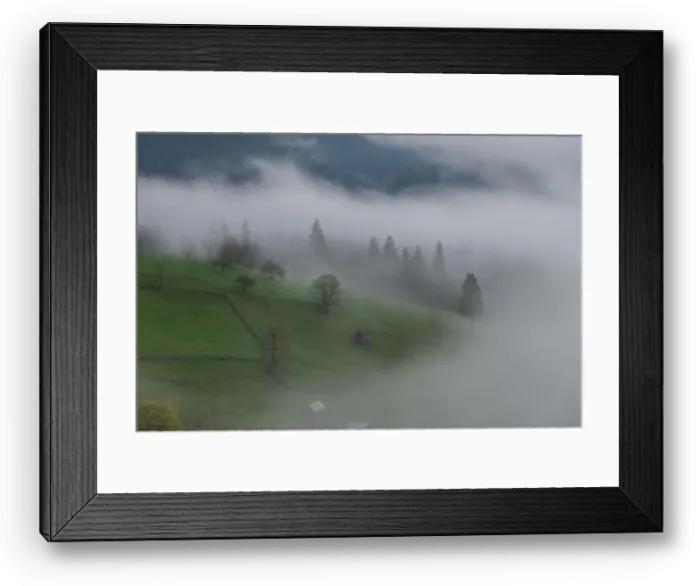 Framed Print : Spring mountain view of the foggy forest, in Bucovina Framed Print : Spring mountain view of the foggy forest, in Bucovina