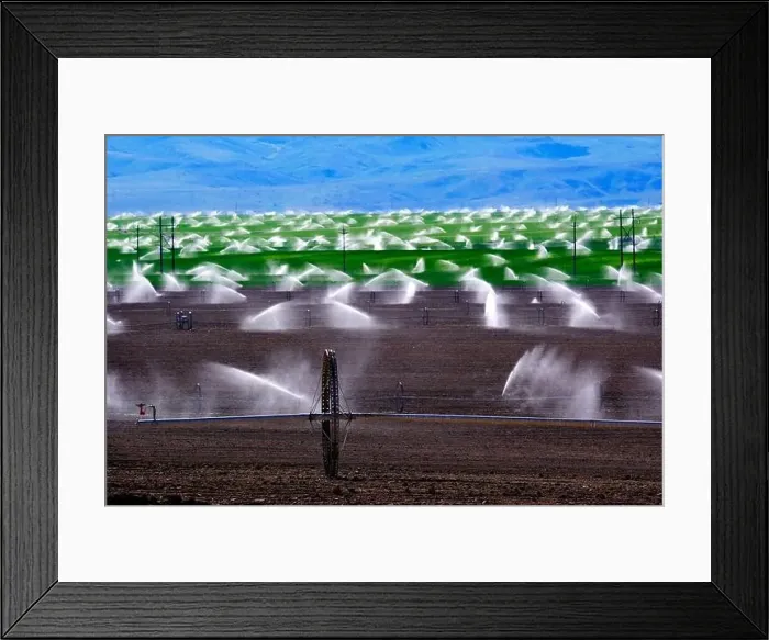Framed Print : Wheel line sprinklers for irrigation of furrowed plowed farm field dirt lines to grow green crops Framed Print : Wheel line sprinklers for irrigation of furrowed plowed farm field dirt lines to grow green crops