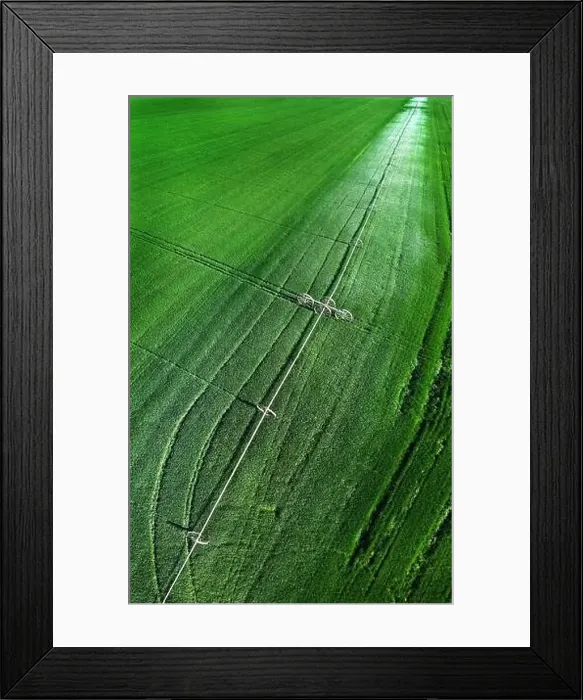 Framed Print : Aerial view from a drone flying above a green farm field growing crops growth with irrigation pivot sprinklers Framed Print : Aerial view from a drone flying above a green farm field growing crops growth with irrigation pivot sprinklers