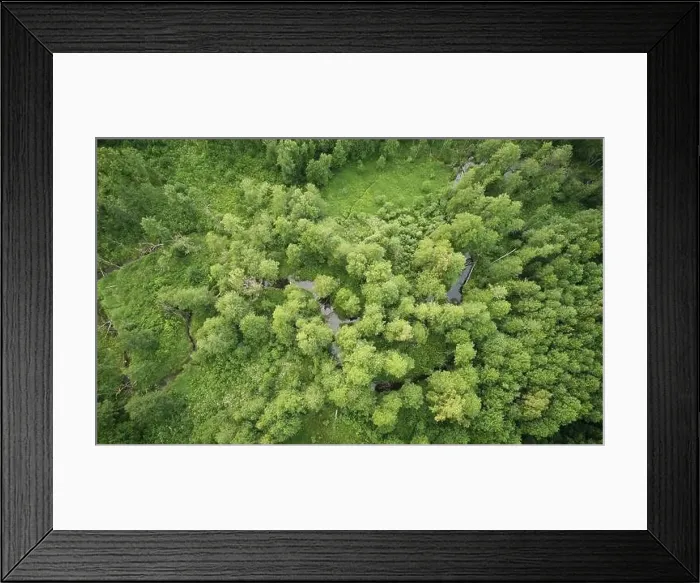 Framed Print : Natural eco green background with forest and river aerial view