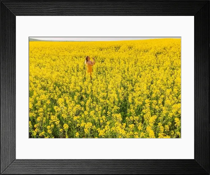 Framed Print : Woman at blooming rapeseed field. Yellow flowers and happy woman Framed Print : Woman at blooming rapeseed field. Yellow flowers and happy woman