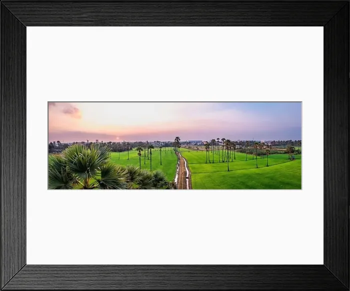 Framed Print : Dongtan Samkhok palm trees and rice fields during sunset in Pathum Thani, Bangkok, Thailand Framed Print : Dongtan Samkhok palm trees and rice fields during sunset in Pathum Thani, Bangkok, Thailand