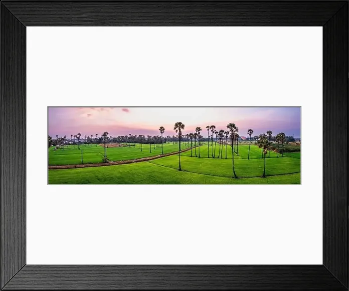 Framed Print : Dongtan Samkhok palm trees and rice fields during sunset in Pathum Thani, Bangkok, Thailand Framed Print : Dongtan Samkhok palm trees and rice fields during sunset in Pathum Thani, Bangkok, Thailand