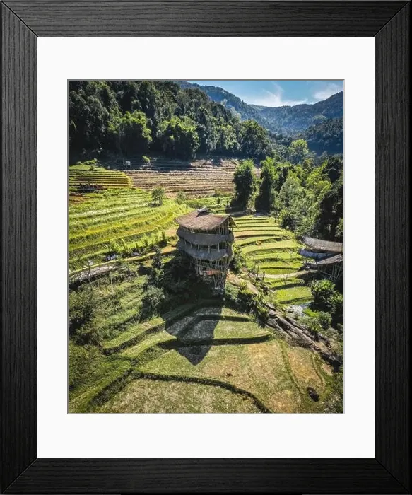 Framed Print : Giant Bamboo Hut in Doi Inthanon national park in Chiang Mai, Thailand Framed Print : Giant Bamboo Hut in Doi Inthanon national park in Chiang Mai, Thailand