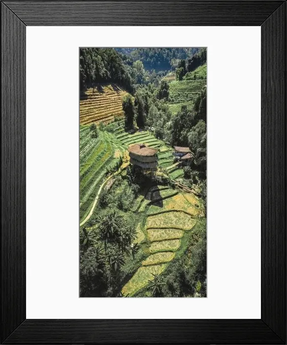 Framed Print : Giant Bamboo Hut in Doi Inthanon national park in Chiang Mai, Thailand Framed Print : Giant Bamboo Hut in Doi Inthanon national park in Chiang Mai, Thailand