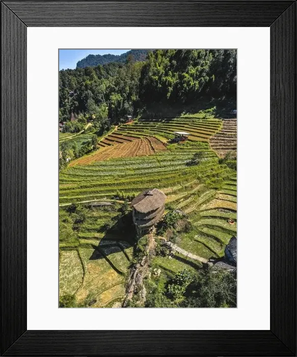 Framed Print : Giant Bamboo Hut in Doi Inthanon national park in Chiang Mai, Thailand Framed Print : Giant Bamboo Hut in Doi Inthanon national park in Chiang Mai, Thailand