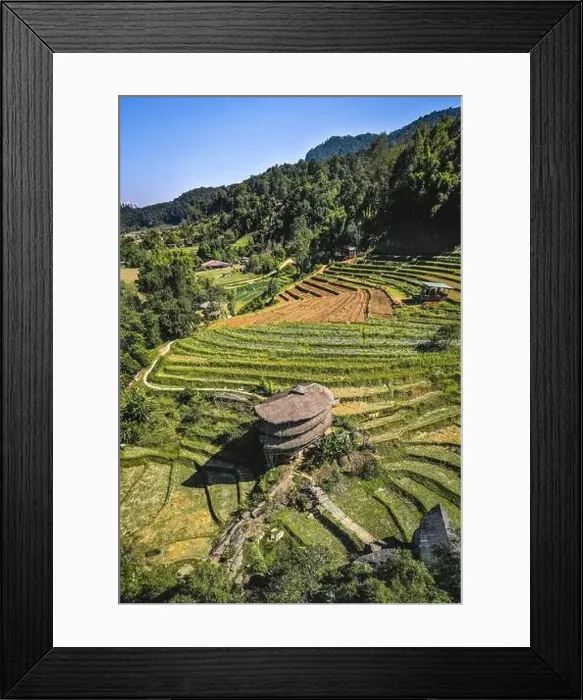 Framed Print : Giant Bamboo Hut in Doi Inthanon national park in Chiang Mai, Thailand Framed Print : Giant Bamboo Hut in Doi Inthanon national park in Chiang Mai, Thailand