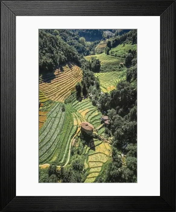 Framed Print : Giant Bamboo Hut in Doi Inthanon national park in Chiang Mai, Thailand Framed Print : Giant Bamboo Hut in Doi Inthanon national park in Chiang Mai, Thailand
