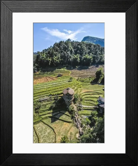 Framed Print : Giant Bamboo Hut in Doi Inthanon national park in Chiang Mai, Thailand Framed Print : Giant Bamboo Hut in Doi Inthanon national park in Chiang Mai, Thailand