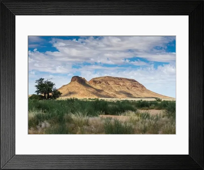 Framed Print : Beautiful view of the African bush. African landscape with trees Framed Print : Beautiful view of the African bush. African landscape with trees
