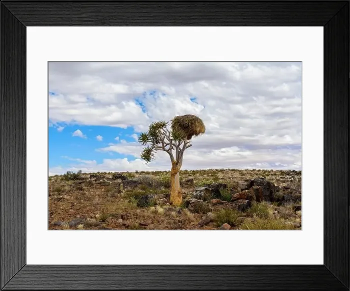 Framed Print : Beautiful view of the African bush. African landscape with trees