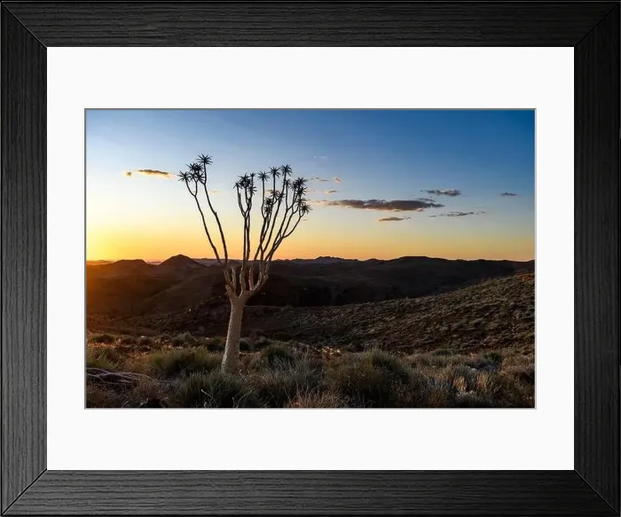 Framed Print : Beautiful view of the African bush. African landscape with trees. Sunset time Framed Print : Beautiful view of the African bush. African landscape with trees. Sunset time