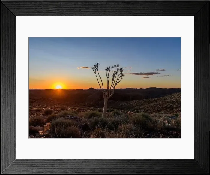 Framed Print : Beautiful view of the African bush. African landscape with trees. Sunset time Framed Print : Beautiful view of the African bush. African landscape with trees. Sunset time