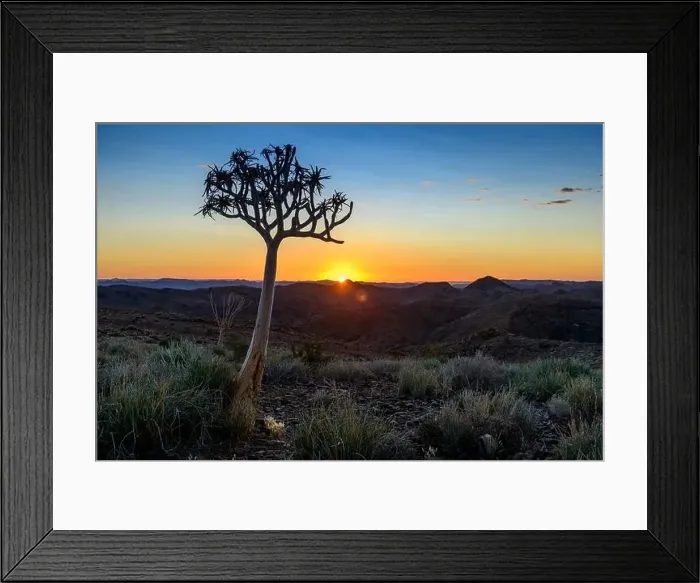 Framed Print : Beautiful view of the African bush. African landscape with trees. Sunset time Framed Print : Beautiful view of the African bush. African landscape with trees. Sunset time