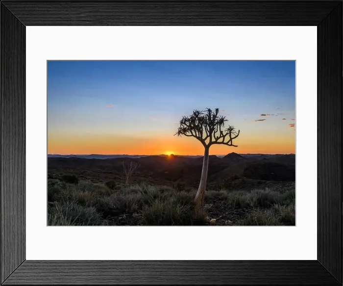 Framed Print : Beautiful view of the African bush. African landscape with trees. Sunset time Framed Print : Beautiful view of the African bush. African landscape with trees. Sunset time