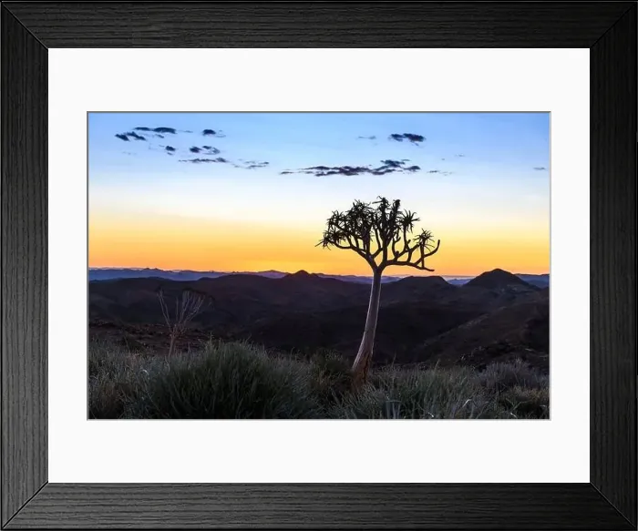 Framed Print : Beautiful view of the African bush. African landscape with trees. Sunset time Framed Print : Beautiful view of the African bush. African landscape with trees. Sunset time