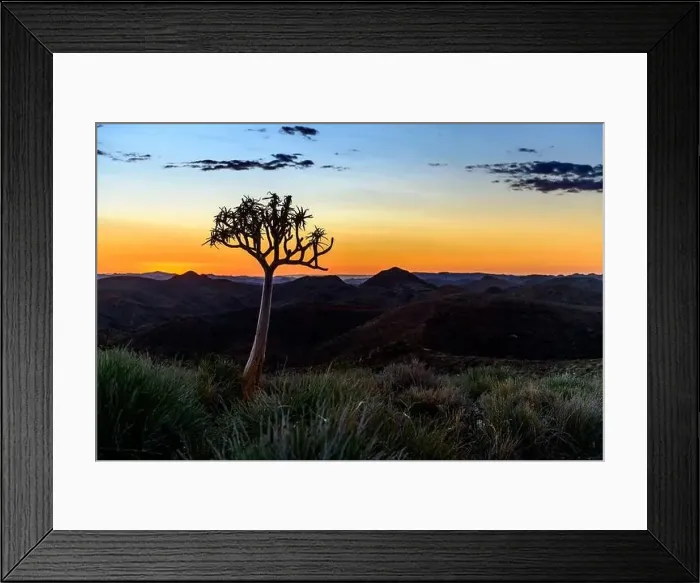 Framed Print : Beautiful view of the African bush. African landscape with trees. Sunset time Framed Print : Beautiful view of the African bush. African landscape with trees. Sunset time