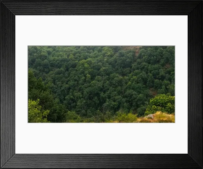 Framed Print : Panoramic Forest countryside in Aveyron France Framed Print : Panoramic Forest countryside in Aveyron France