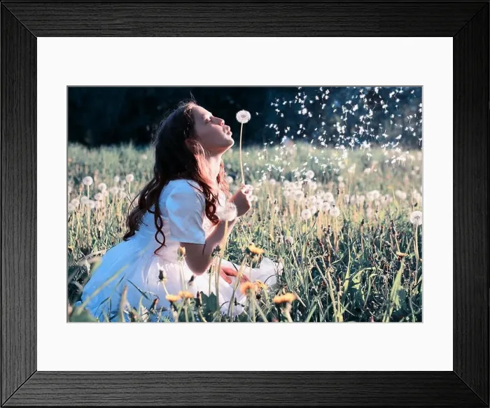 Framed Print : Teen girl blowing seeds from a flower dandelion in spring park Framed Print : Teen girl blowing seeds from a flower dandelion in spring park